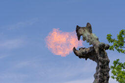 Wycieczka szkolna do Krakowa