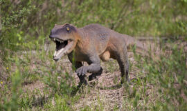 Wycieczka szkolna do JuraPark Krasiejów