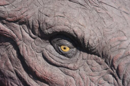 Wycieczka szkolna do JuraPark Krasiejów