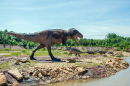 Wycieczka szkolna do JuraPark Krasiejów