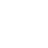 Vector